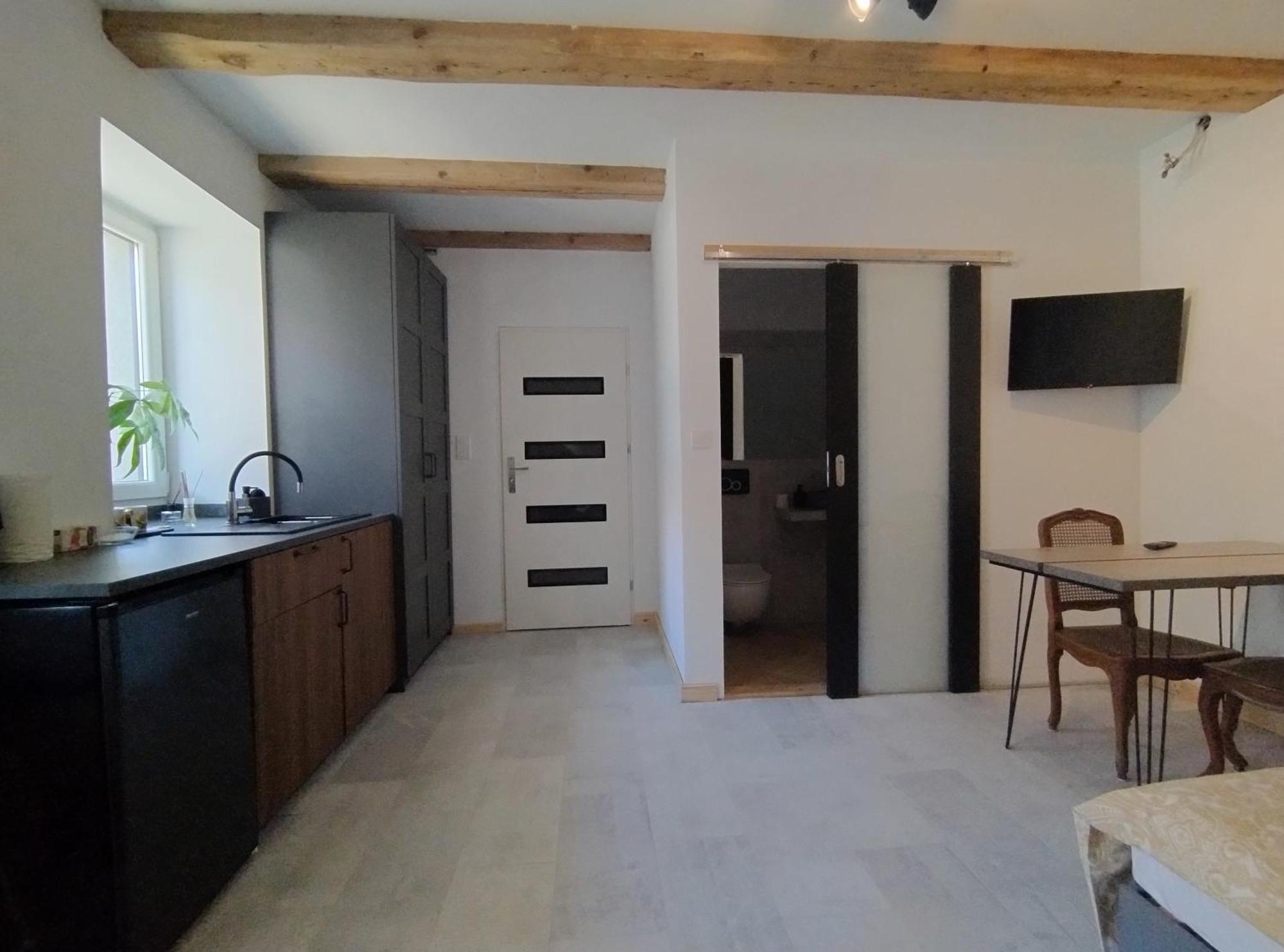 Motyl Apartamenty Studio Lub Pokoj Z Lazienka Bytom Esterno foto